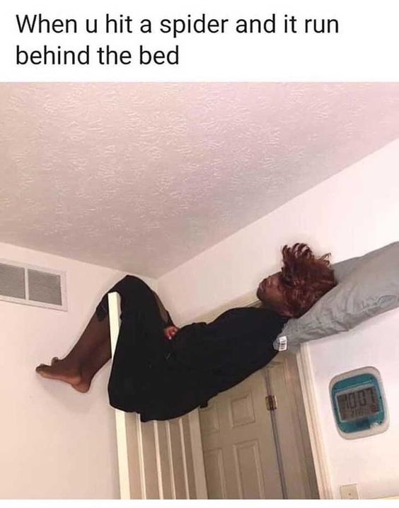 When you hit a spider and it run behind the bed