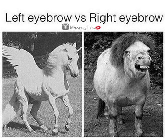 Left eyebrow vs right eyebrow.