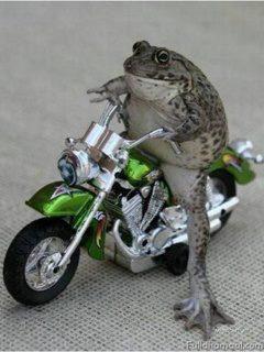 Lets go for ride