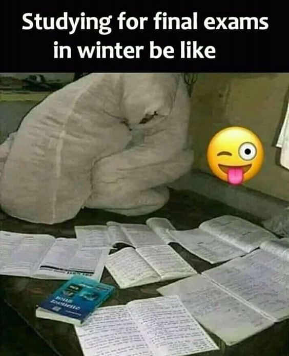 Studying for final exams..