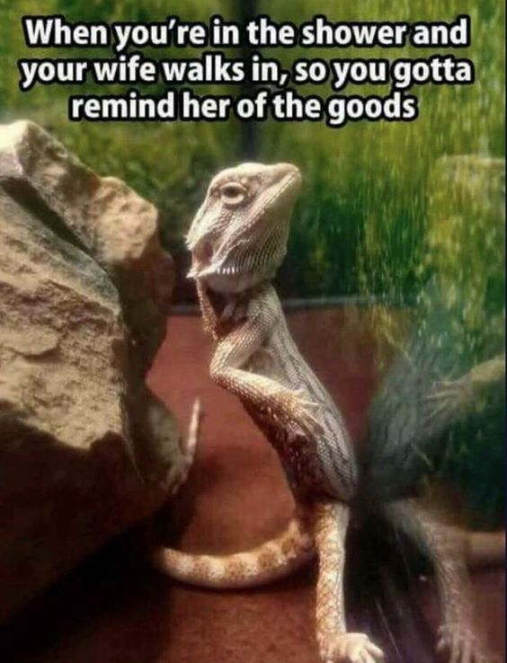 When you are in the shower !!!!