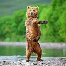 I am a disco dancer!!!