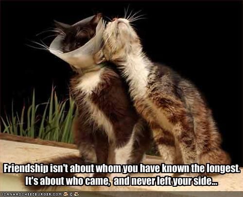 True friendship