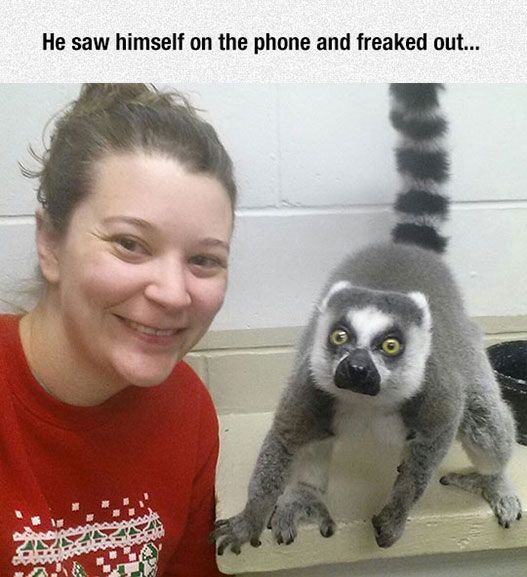 He saw himself on the phone and freaked out