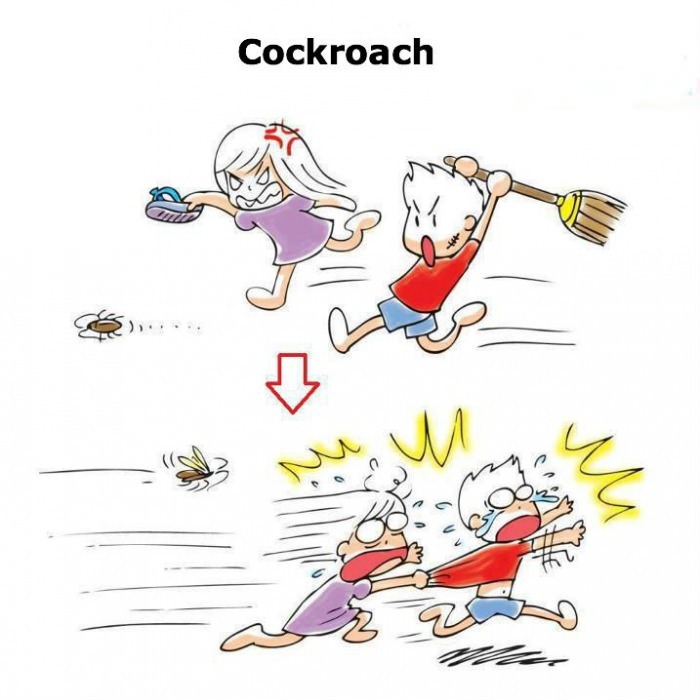 My Wings Can Make You Run For Your Life