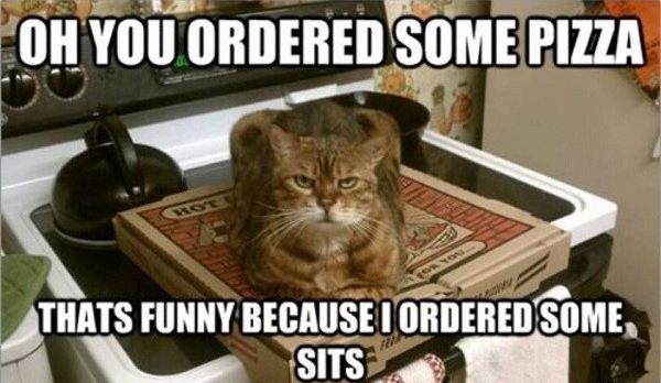 Oh You Ordered Some Pizza
