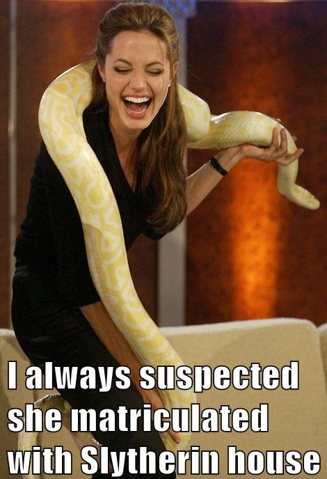 Suspicions Confirmed