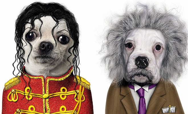 Fashion of the day..