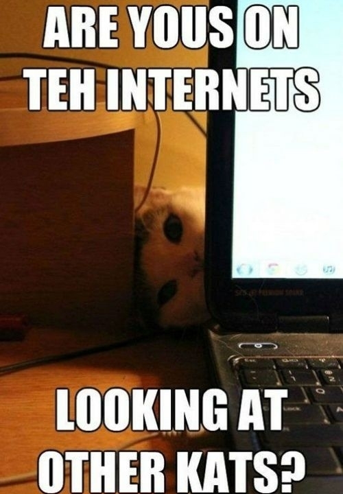 Are Yous On Teh Internets
