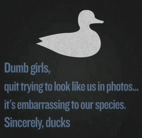 Dumb Girls Quit Trying To Look Like Us In Photos