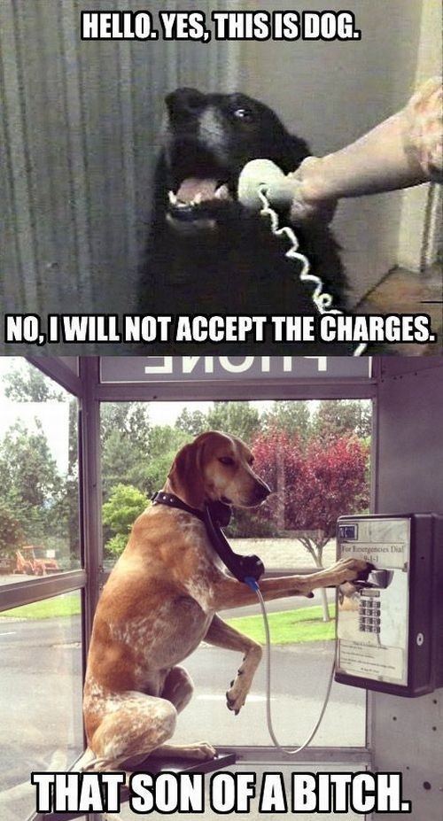 No I Will Not Accept The Charges