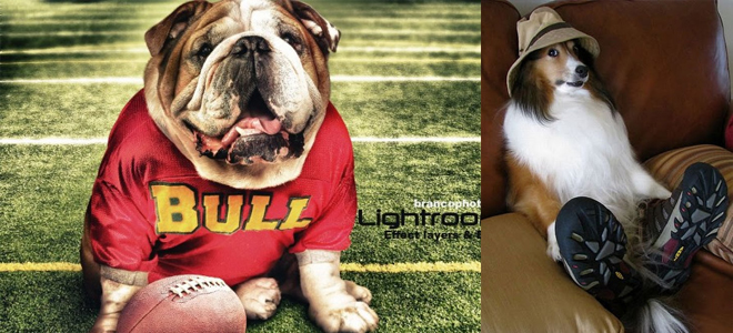 I am in relax mood dont want to play right now.