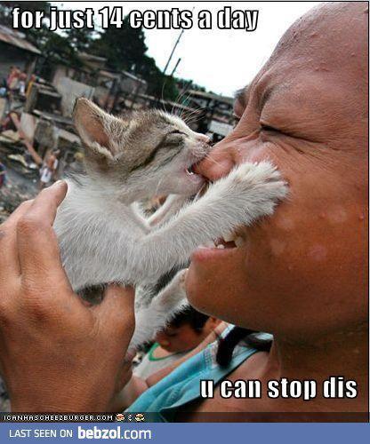 Just a 14cent a day..!!!