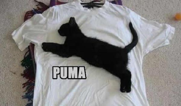 Home Made Puma