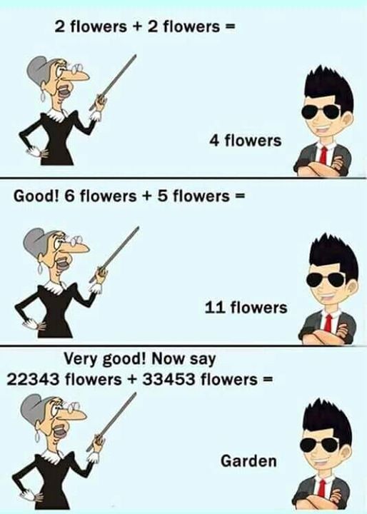 2 flower plus 2 flowers