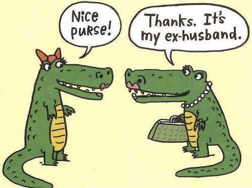 Nice Purse