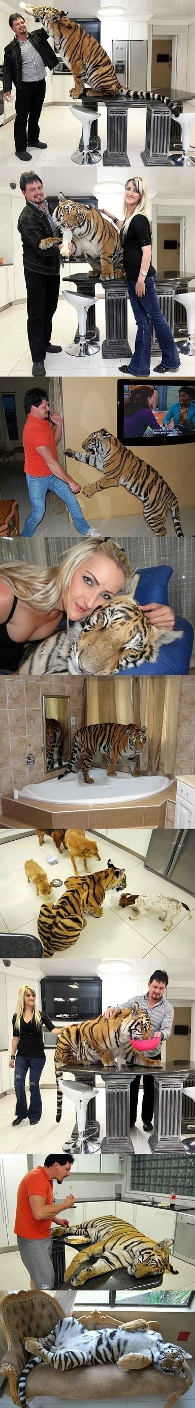 Cats Are Too Mainstream