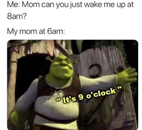 Mom can you just wakeup me at 8 am?