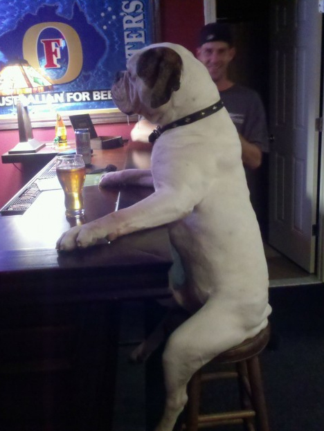 Bob I Need A One More Beer