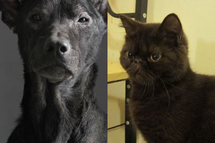 Clint Eastwood & Samuel L Jackson