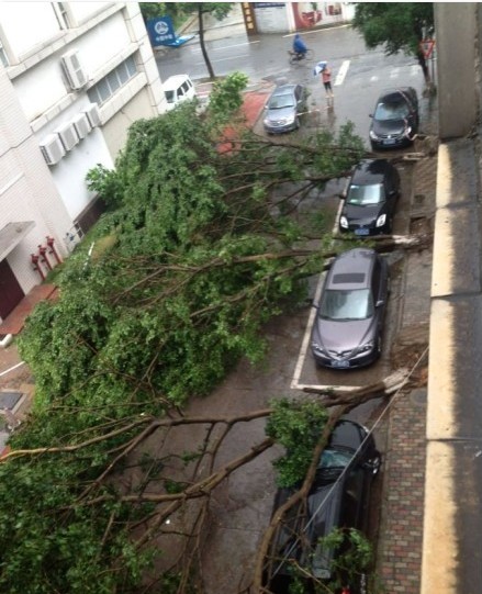 This Is Why You Have To Park Your Car 