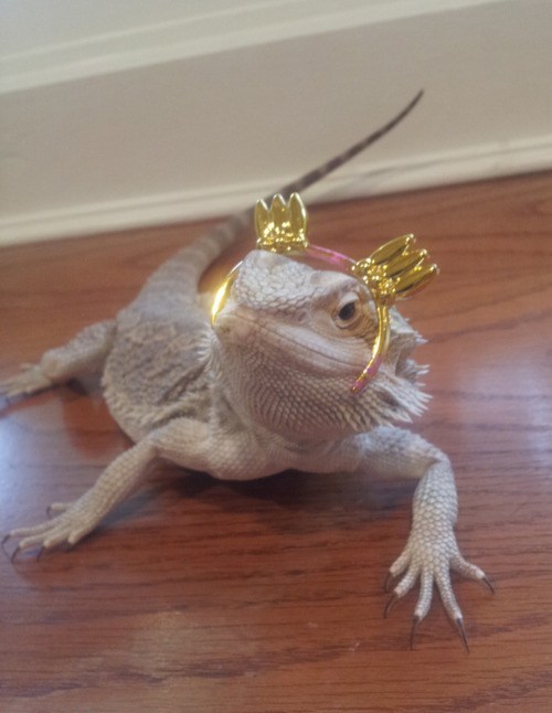 Humm I Know I\'m Looking Cool