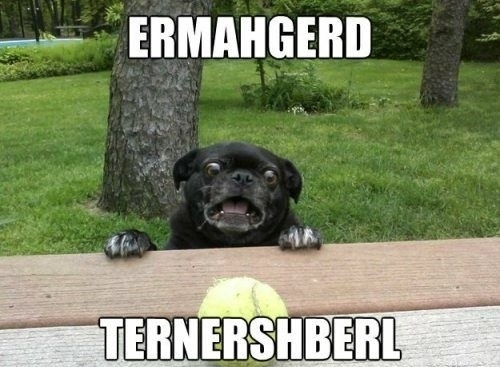 Ermahgerd! Ternershberl