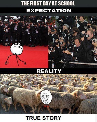 First Day At School Expectation Vs Reality