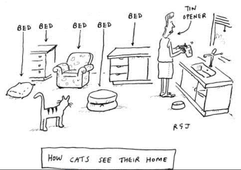 For Cat Bad For Me Tin Opener