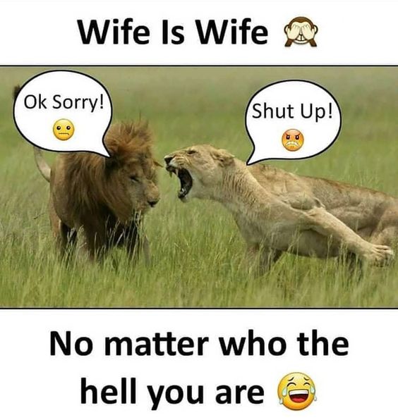 Wife is wife