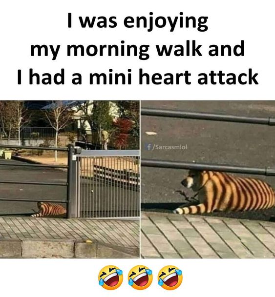 I had a mini heartattack