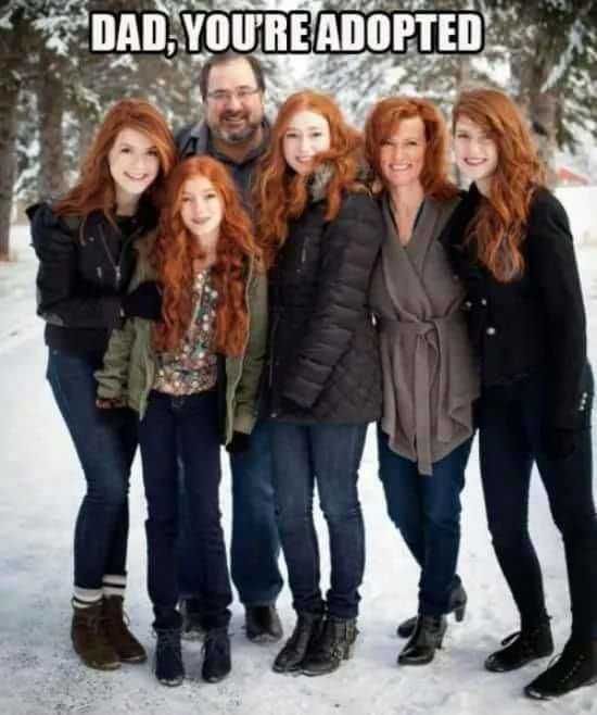 Dad you are adopted