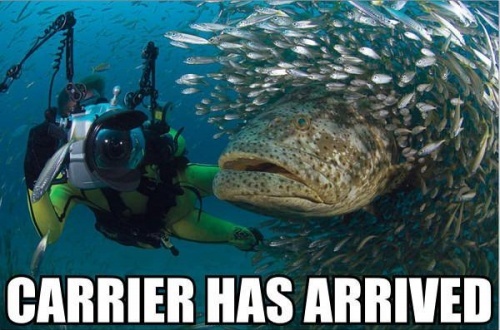 This One Always Makes Me Chuckle