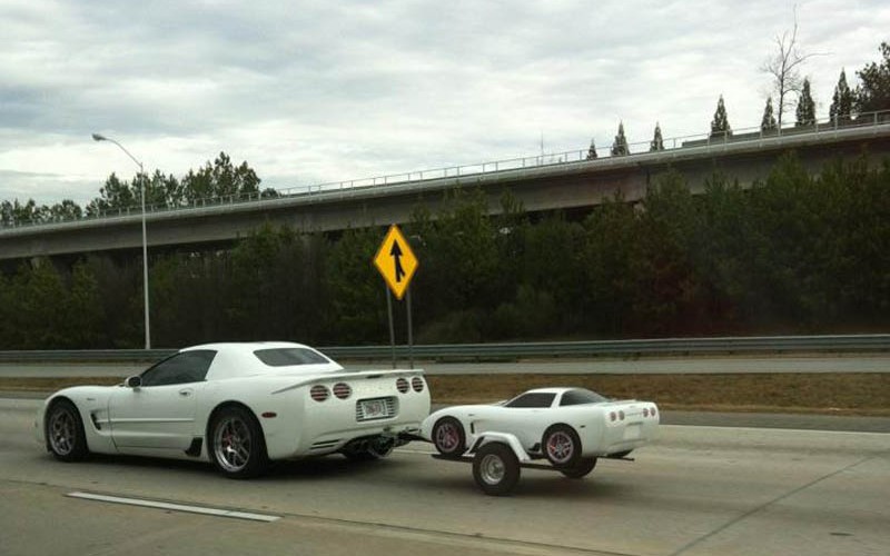 That Look Like Miniature Cars