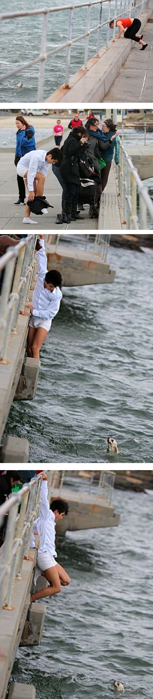 Faith In Humanity Restored