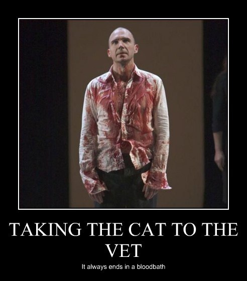 Taking The Cat To The Vet