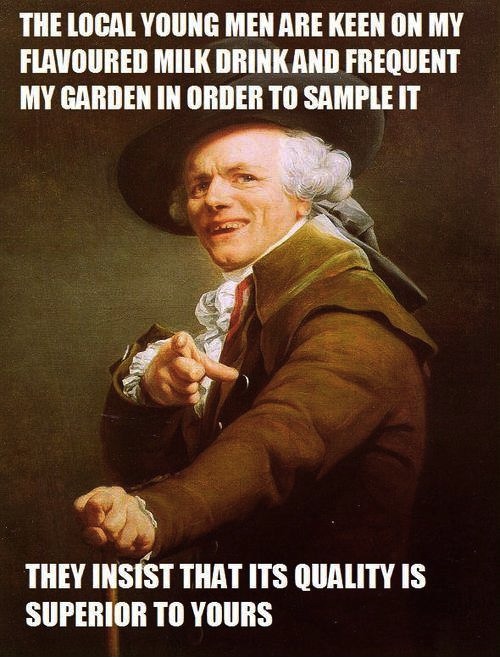 My Milkshake Brings All The Boys To The Yard