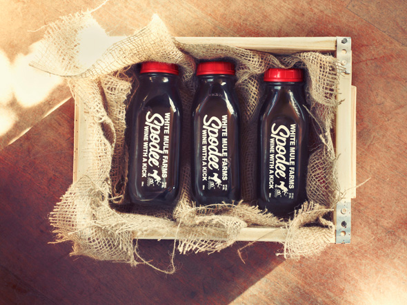 Spodee The Wine with a Kick