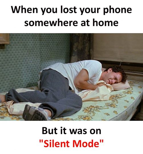 When you lost your phone at home
