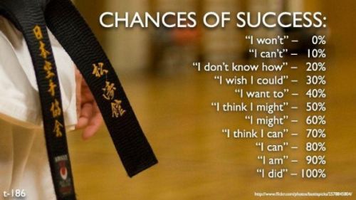 Chances Of Success