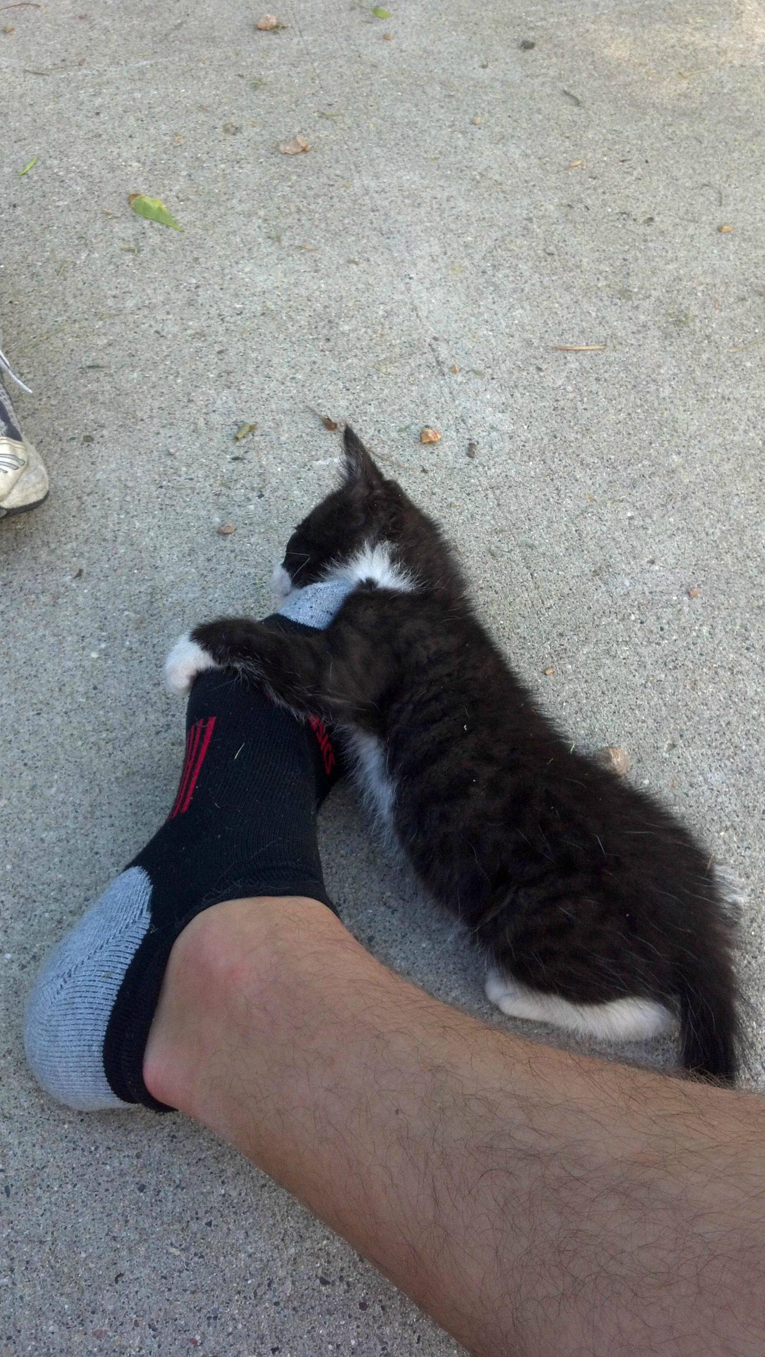 Let Me Sleep With Your Dirty Smell