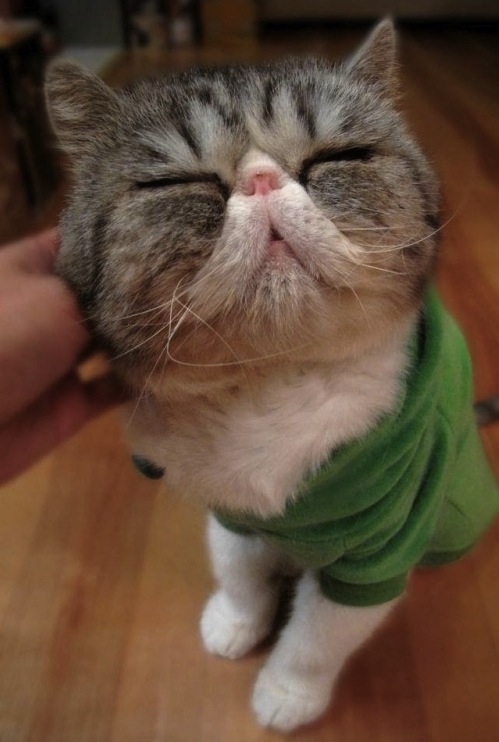 Thatâ€™s The Spot