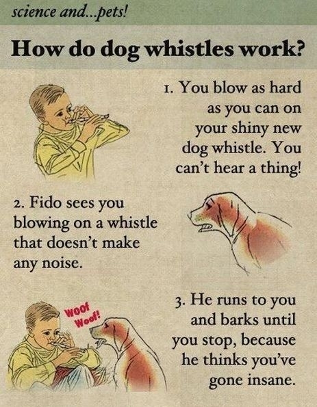 How Dog Whistles Work
