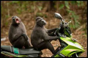 Lets go for a long drive.