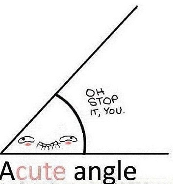 Acute Angle