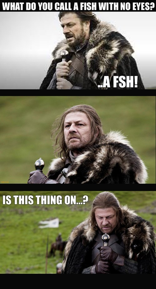 What Do You Call A Fish With No Eyes