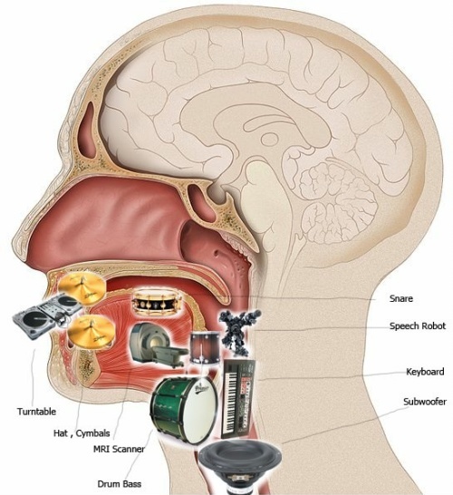 Mouth Anatomy Of Beatboxer