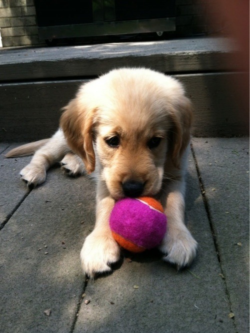 Nobody Wants To Play With Me