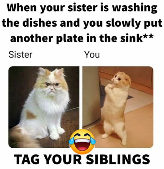 Tag your siblings