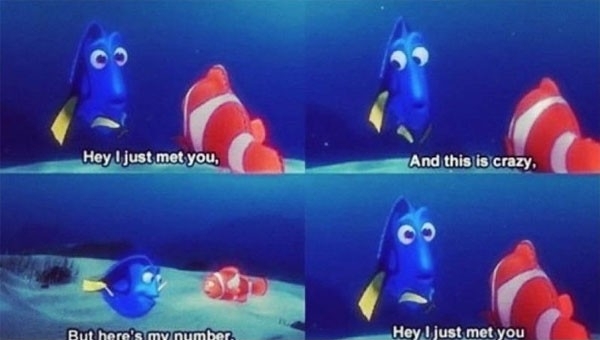 Hey I Just Met You